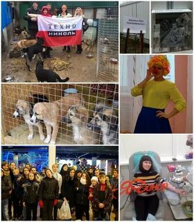 Дари добро киров
