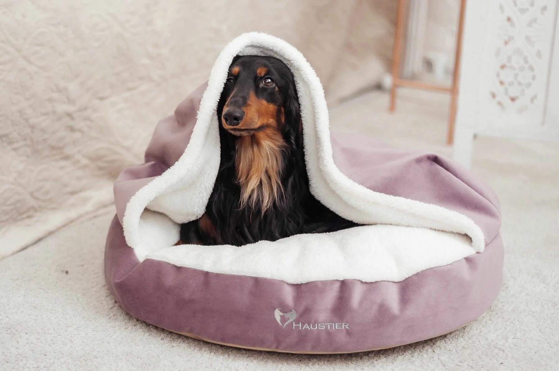 лежанка для таксы. лежанка для собаки таксы. лежанка dog gone smart. лежанка для таксы. лежак норка для собак.