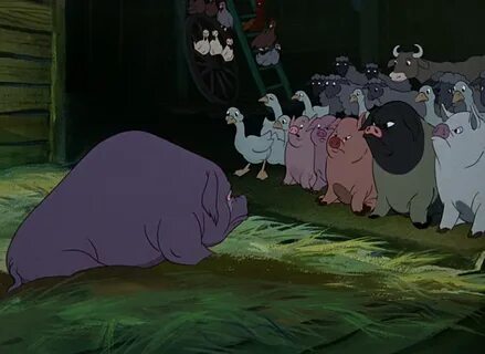 Animal farm