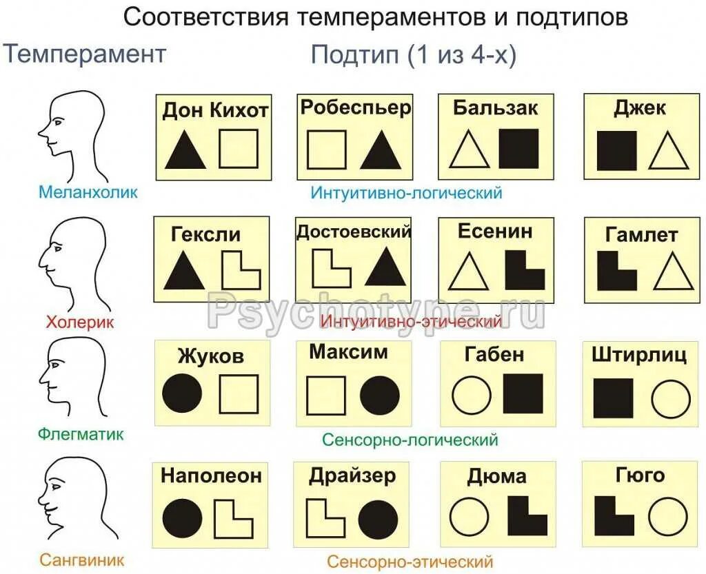 Какой социотип