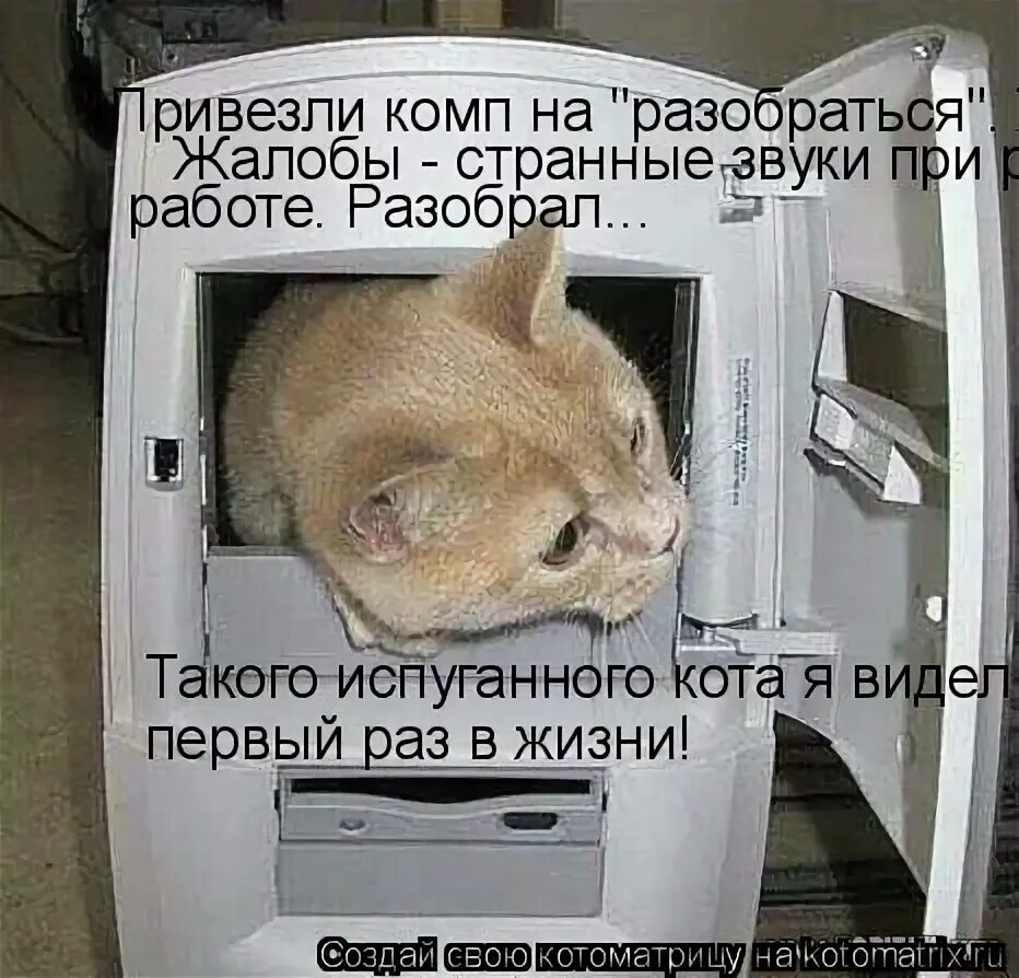 Странные звуки дома