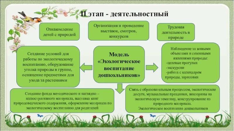 Создание условий для экологического воспитания детей. Этапы экологического воспитания. Этапы проекта по экологии в ДОУ. Экологическое образование дошкольников. Проект экологическое воспитание дошкольников.