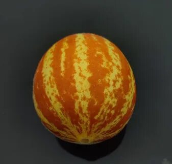 Мини дыни