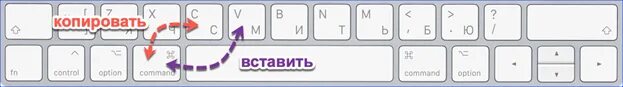 Кнопки для копирования и вставки на клавиатуре. Кнопки копирования на клавиатуре. Команды для копирования и вставки. Кнопка для вставки текста на клавиатуре. С окно вставь слово