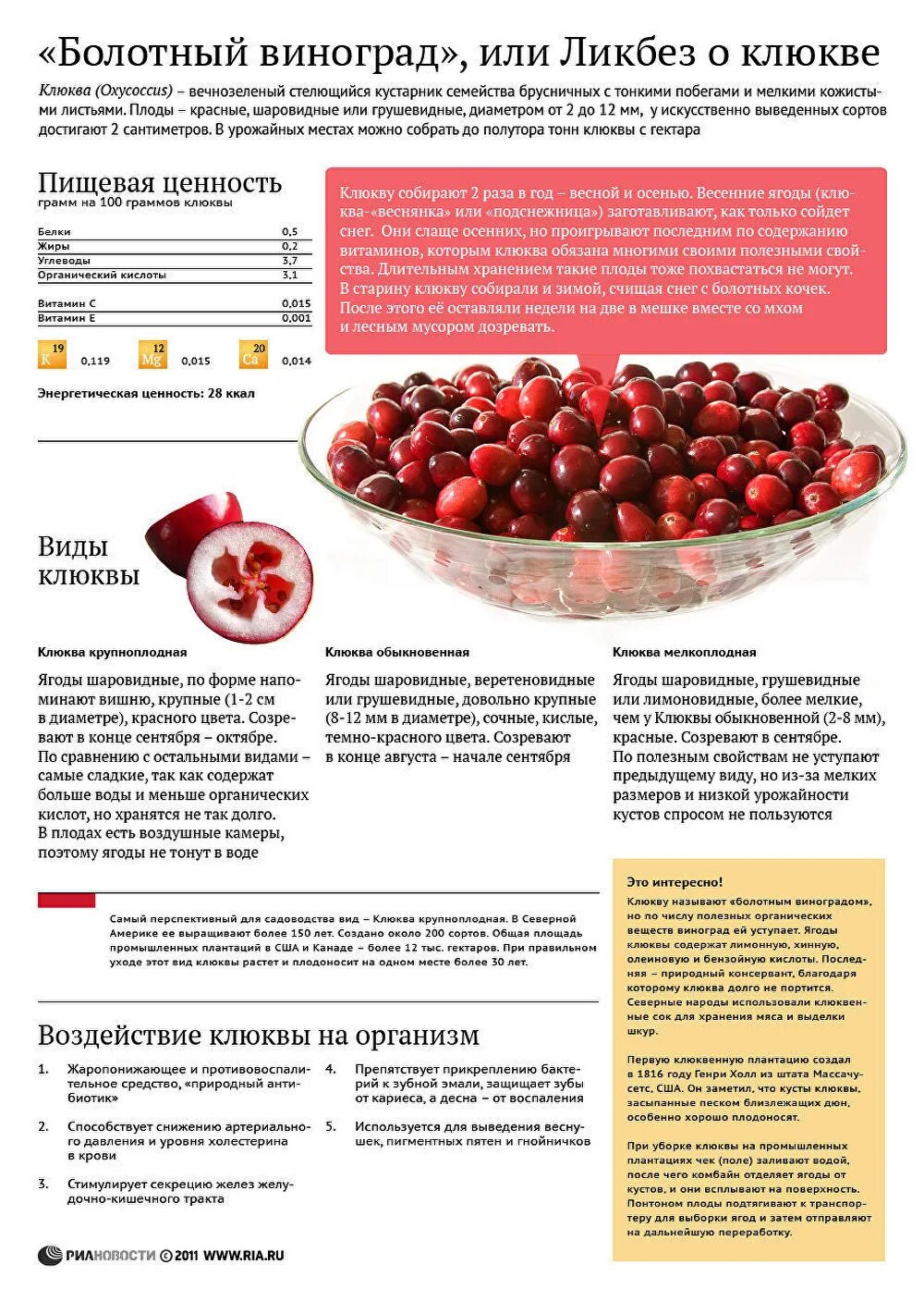 При каких заболеваниях полезна клюква. Клюква характеристики целебные. полезность клюквы. витамины содержащиеся в клюкве. клюква полезные св-ва.