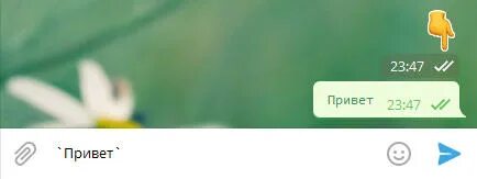 Privet txt