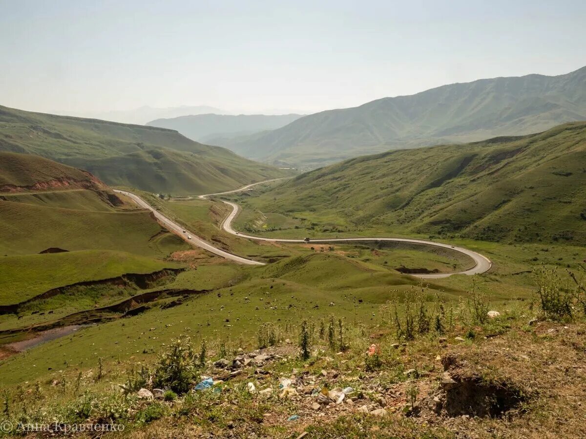 Цыба в долине чуйской. Чуйская долина казахстан. Киргизия чуйская долина. Долина реки чу киргизия. Киргизия чуйская долина.