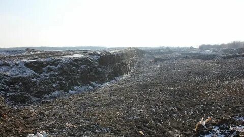 Белгород последние новости на сегодня 2024