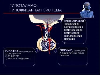 Болезни гипоталамуса