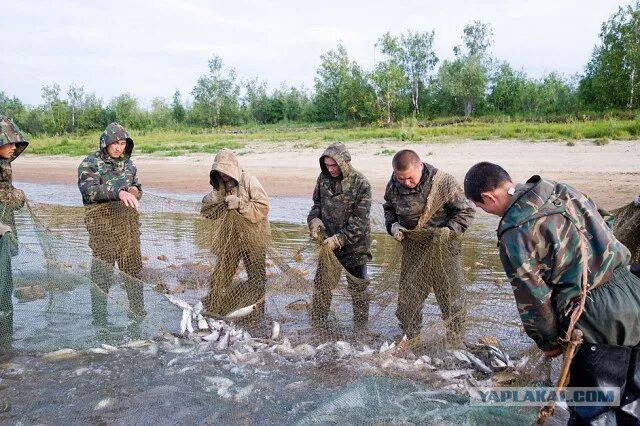 Погода тазовский на 3. День рыбака Тазовский. Село Гыда.