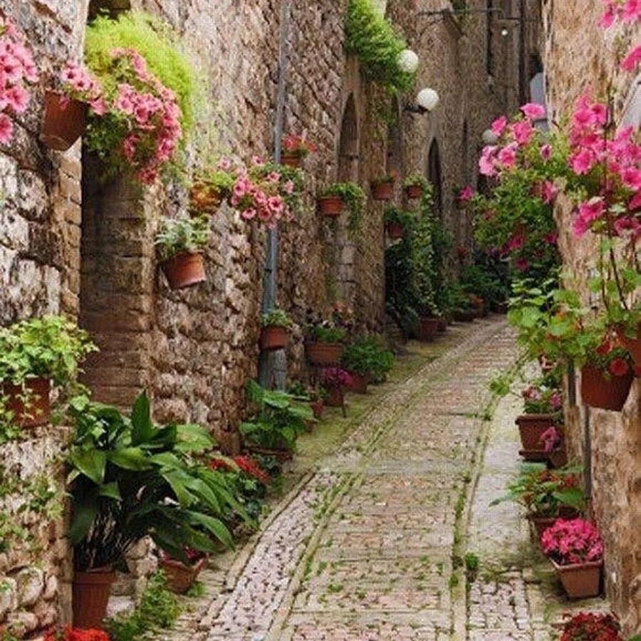 Amazing around. Улочки Италии. Узкие улочки Италии. Улочки с цветами. Италия цветы.