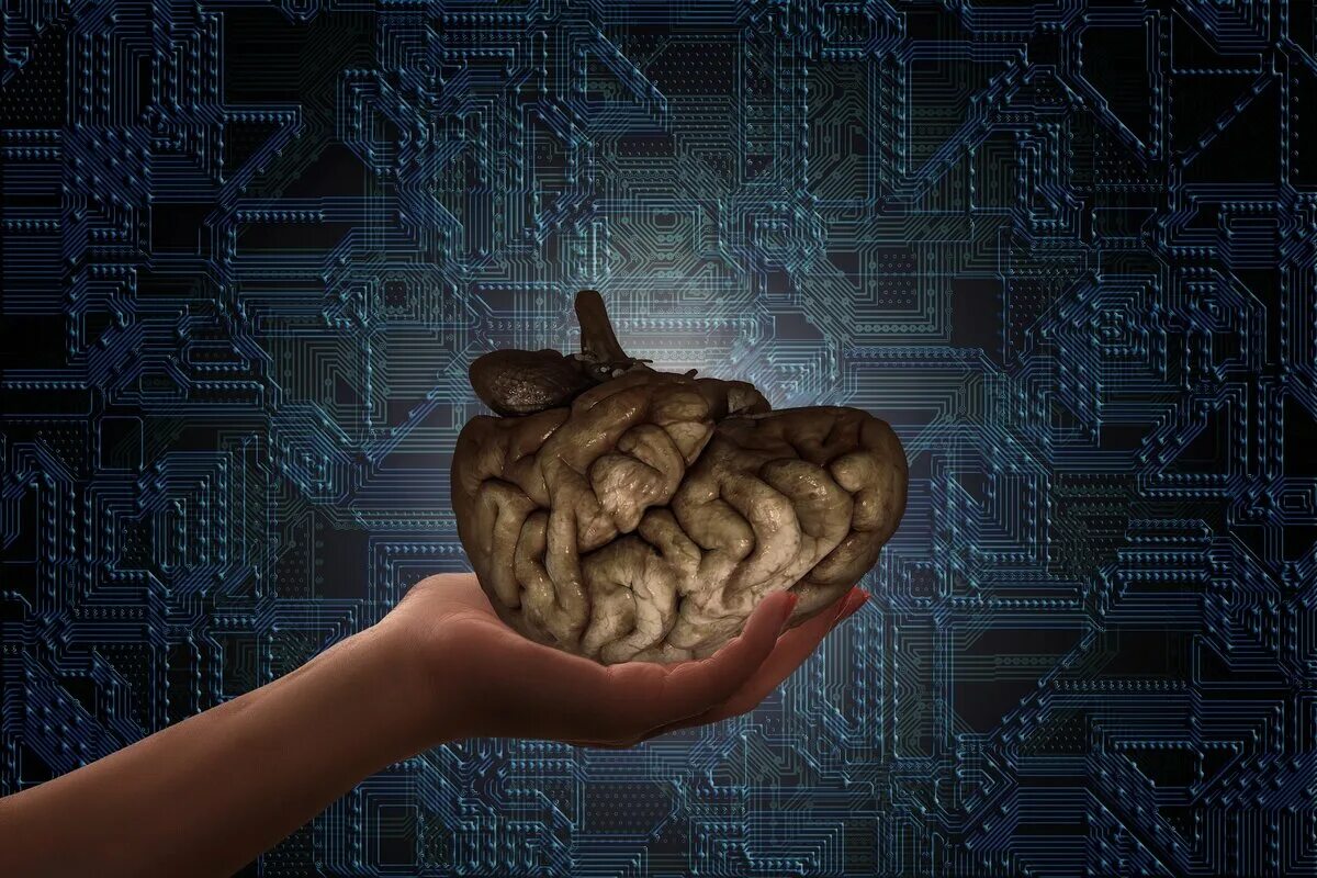 Мозг в руках. Мозг на ладони. Цифровой мозг. Пальцы рук и мозг