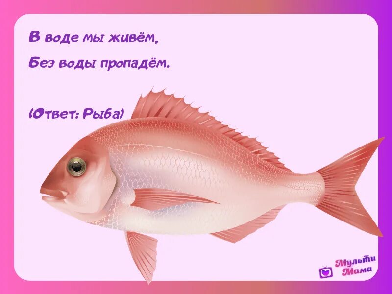 Стих про рыбку для детей. Загадки про рыб. Детские загадки про рыб. Загадка про рыбку. Загадки про рыб для детей.