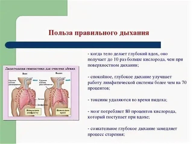 Правильное дыхание. Дыхание характеризуется. Как правильно вдох выдох. Как правильно выдыхать. Правильное дыхание характеризуется ответ