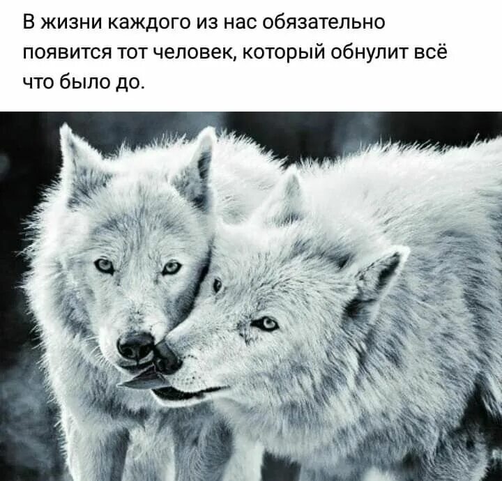 Краски жизни цитаты. Цитаты про серый. Стихи про серость. Цитаты про красивые глаза. Цитаты про серый.