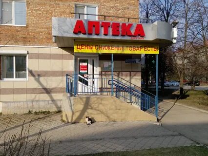 Аптека 6 отзывы
