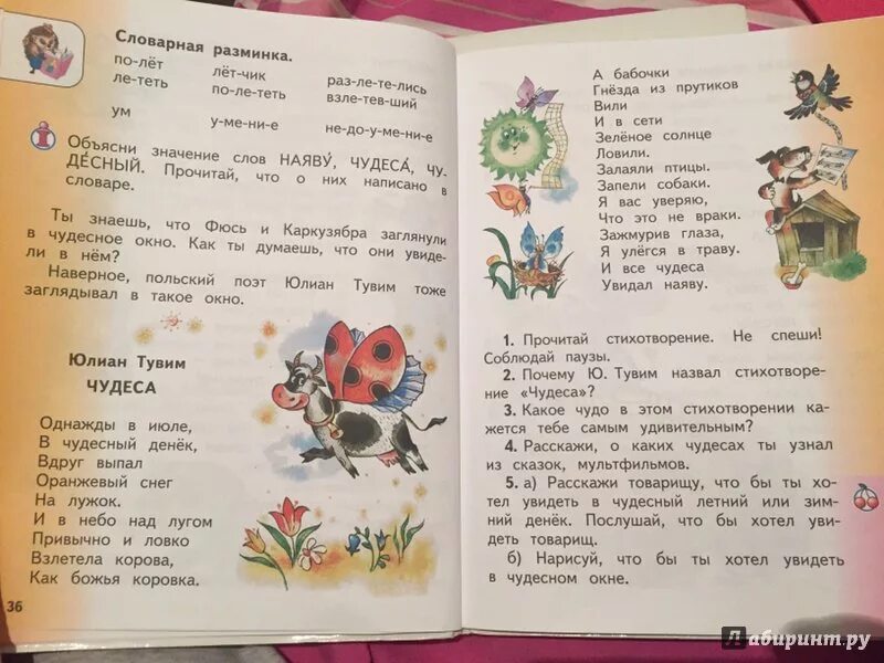 Роман сеф чудо. Литературное чтение 1 класс матвеева учебник. Сефа. Берестов 1 класс. Литература 1 класс чудо.