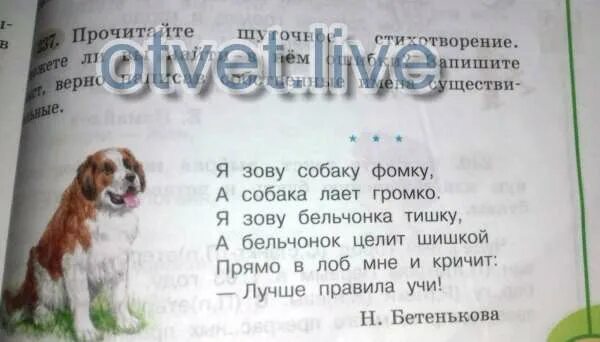 За дверью тревожно залаяла собака текст. Стих я зову собаку фомку. Собака громко лает. Стихотворение залаяли Собакин. Я зову собаку фомку а собака лает громко.