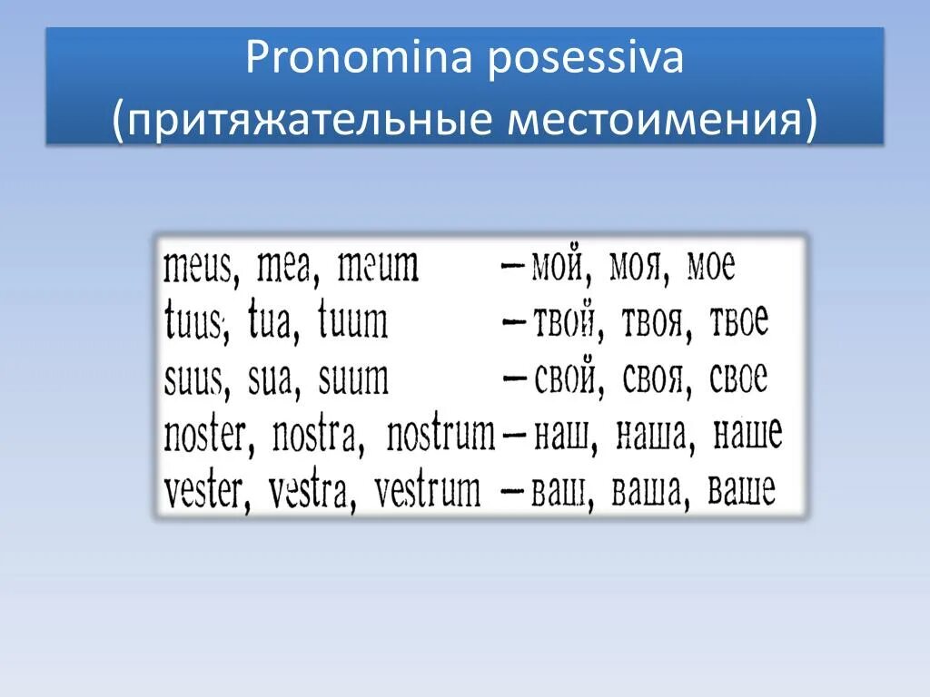 Притяжательные местоимения в латыни таблица. Склонение местоимений латынь. Склонение притяжательных местоимений в латинском языке таблица. Личные местоимения в латинском языке. Указательное местоимение прилагательное