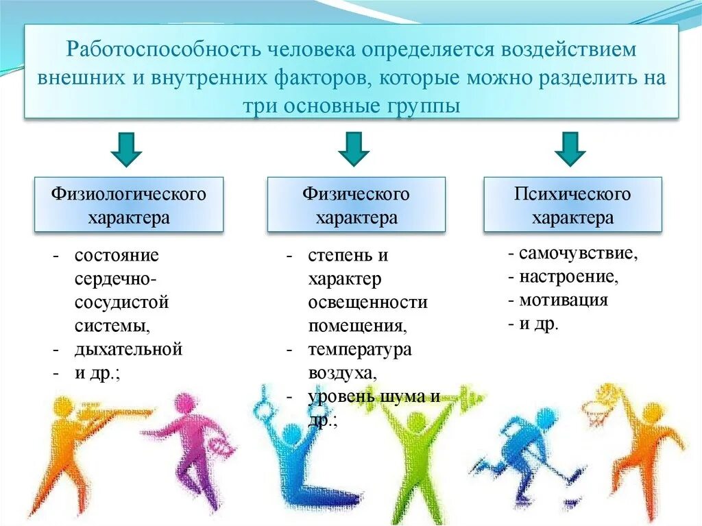 Факторы работоспособности человека. Факторы физического развития. Способы повышения работоспособности. Способы повышения работоспособности человека. Занятия виды деятельности время