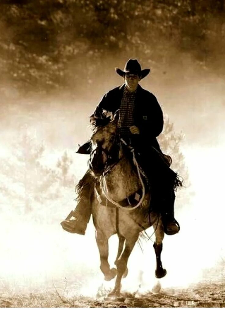 Ковбойский конь. Ковбой на коне. Лошади дикого запада. Cowboy horse. Cowboy horse.
