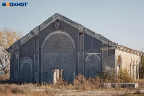 Зеленый волгоградская область