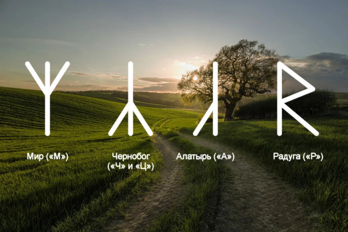 Значение руны мир. Руна альгиз. Даждьбог славянский символ руна. Славянские руны мир значение. Значение руны мир.