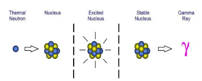Activation analysis. Neutron activation мем. обезьяна нейронная активность. neutron activation analysis. мем с обезьяной нейронная активность.