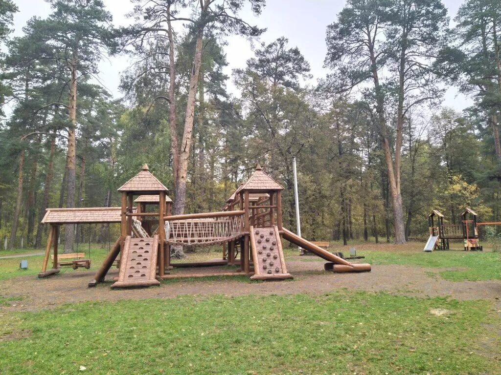 Сосновый бор тульский. Алексин бор тула. Алексин бор тульская область природа. Сосновый бор алексин лес. Алексин бор.