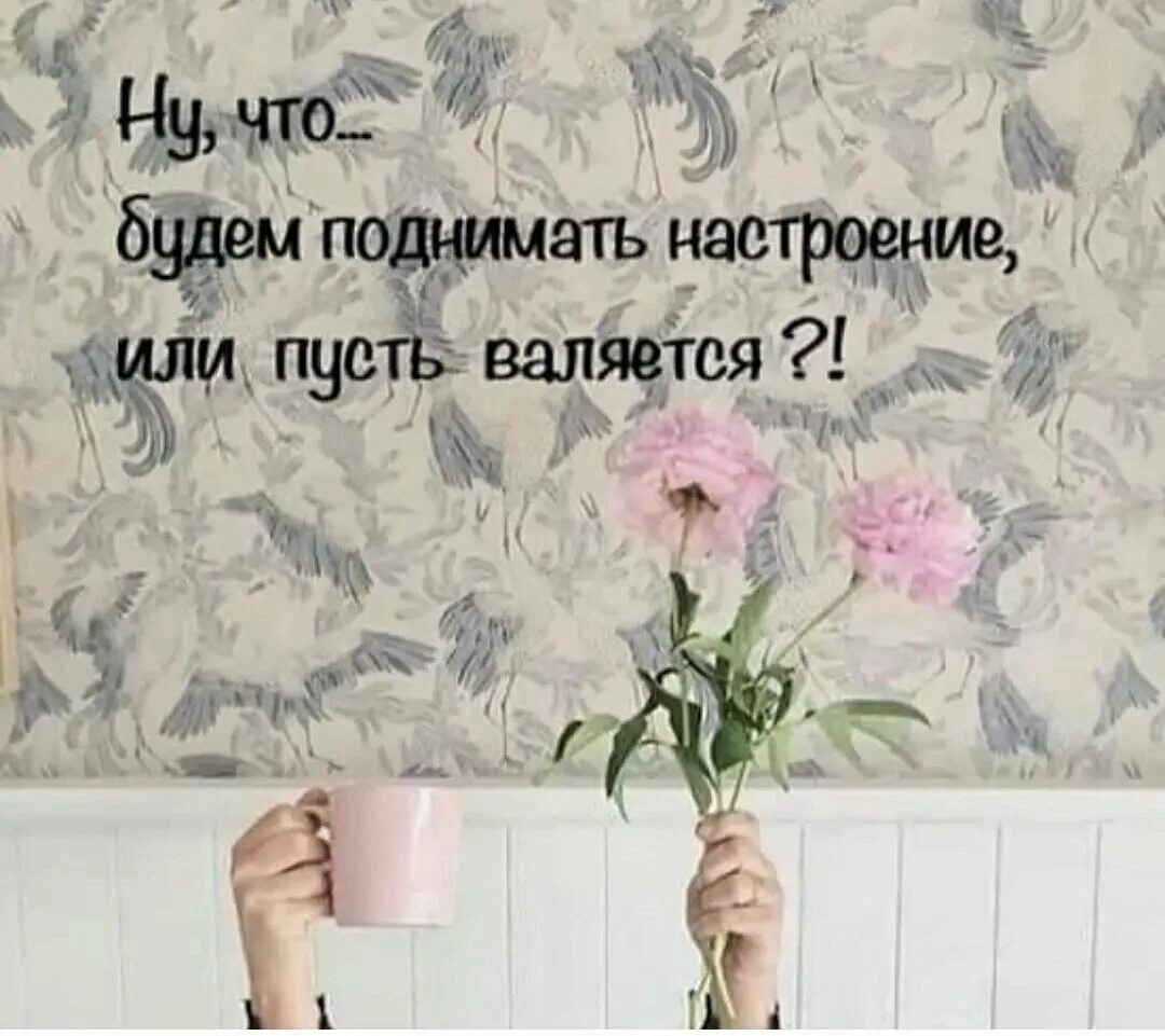 Цитата дня короткая