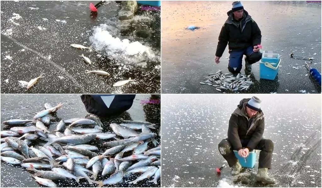 Зимняя рыбалка видео. Ловля уклейки зимой. Мормышка на уклейку. Ловля плотвы Середа. Зимняя ловля видео