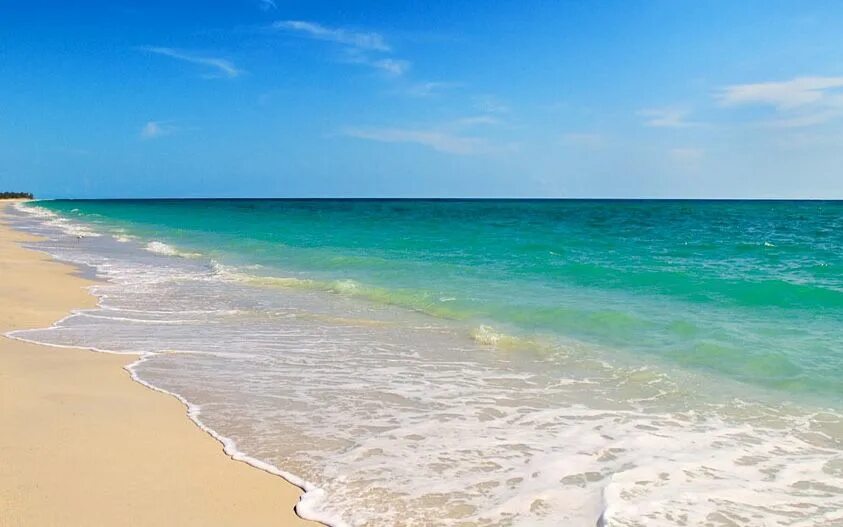 Beach clean. Флорида пляж. Песчаный пляж Флориды. Бич. Тампа пляжи.