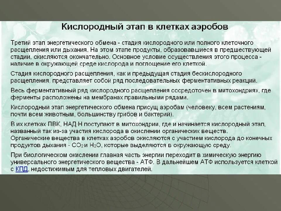 Этап полного кислородного расщепления. Сущность кислородного этапа энергетического обмена. характеристики относящиеся к кислородному этапу обмена веществ. третий этап стадия кислородного расщепления. кислородный этап энергетического обмена.