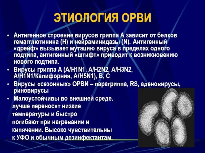 Возбудитель грипп орви. ОРВИ этиология. Строение вируса гриппа. Строение вируса ОРВИ. Вирус гриппа строение антигенная структура.