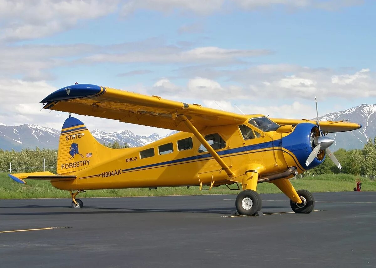 Легкая авиация. Самолет DHC-2 beaver. Самолет де Хэвилленд Бивер. Самолет де Хэвилленд Канада DHC 2. Cessna beaver.