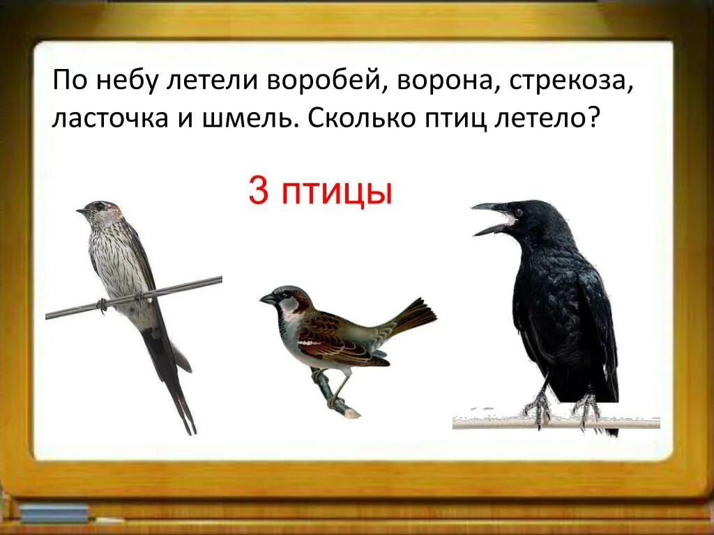 Основная мысль текста каждый знает воробья ворону. Ласточка и ворона. Ворона и Воробей. Ворон и Воробей. Воробей ворона для детей.