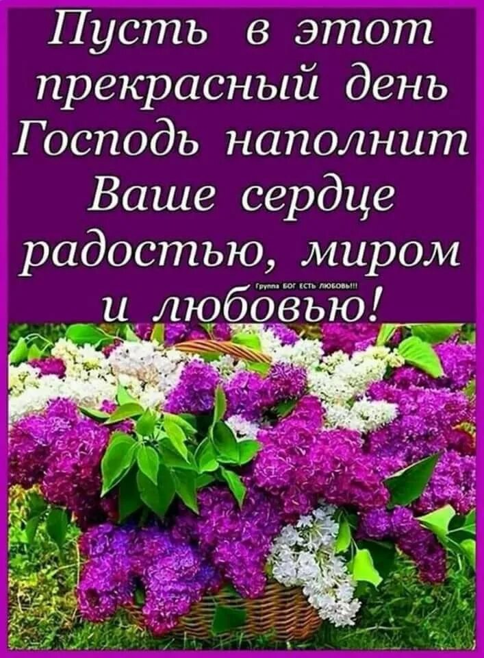 Прекрасный день. Пусть ваш день наполнится добром. Пусть этот день. Радости в новом дне. Доброго дня наполненного счастьем