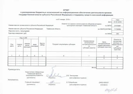 Отчет о расходовании полученных средств