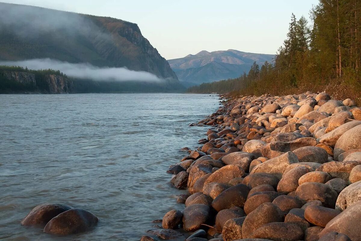 Реки северо восточной сибири. Северо Восточная Сибирь река Индигирка. Река Индигирка Якутия.