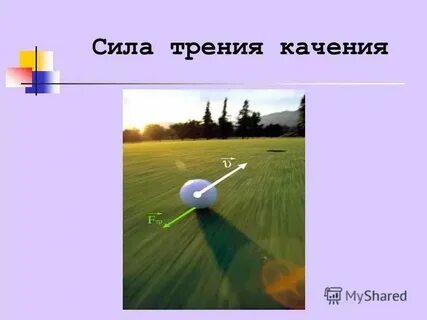 Почему левые силы