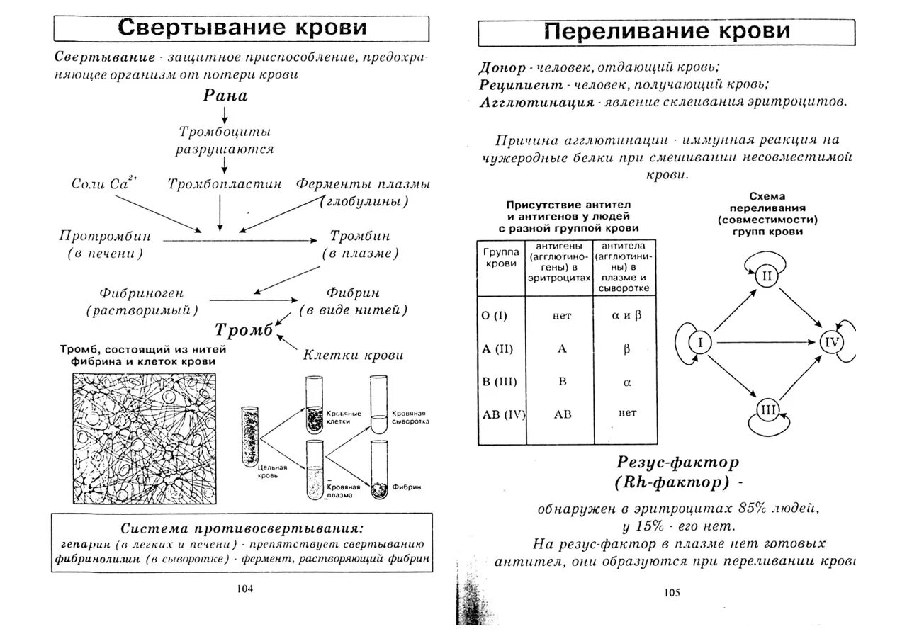 Схема свёртывания крови 8 класс биология. Схема свертывания и переливания крови. Переливание крови схема ЕГЭ. Схема свертываемости крови 8 класс. Свертывание крови группы крови