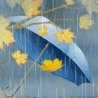 Добрый день осени дождливой