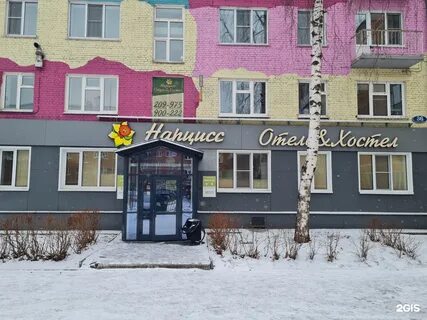 Нарцисс новокузнецк