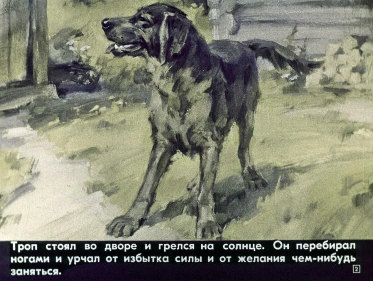 Тропы истории