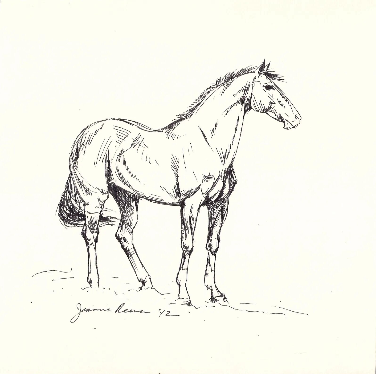 конь набросок. набросок лошади. наброски лошадей. набросок лошади. наброски лошадей карандашом.