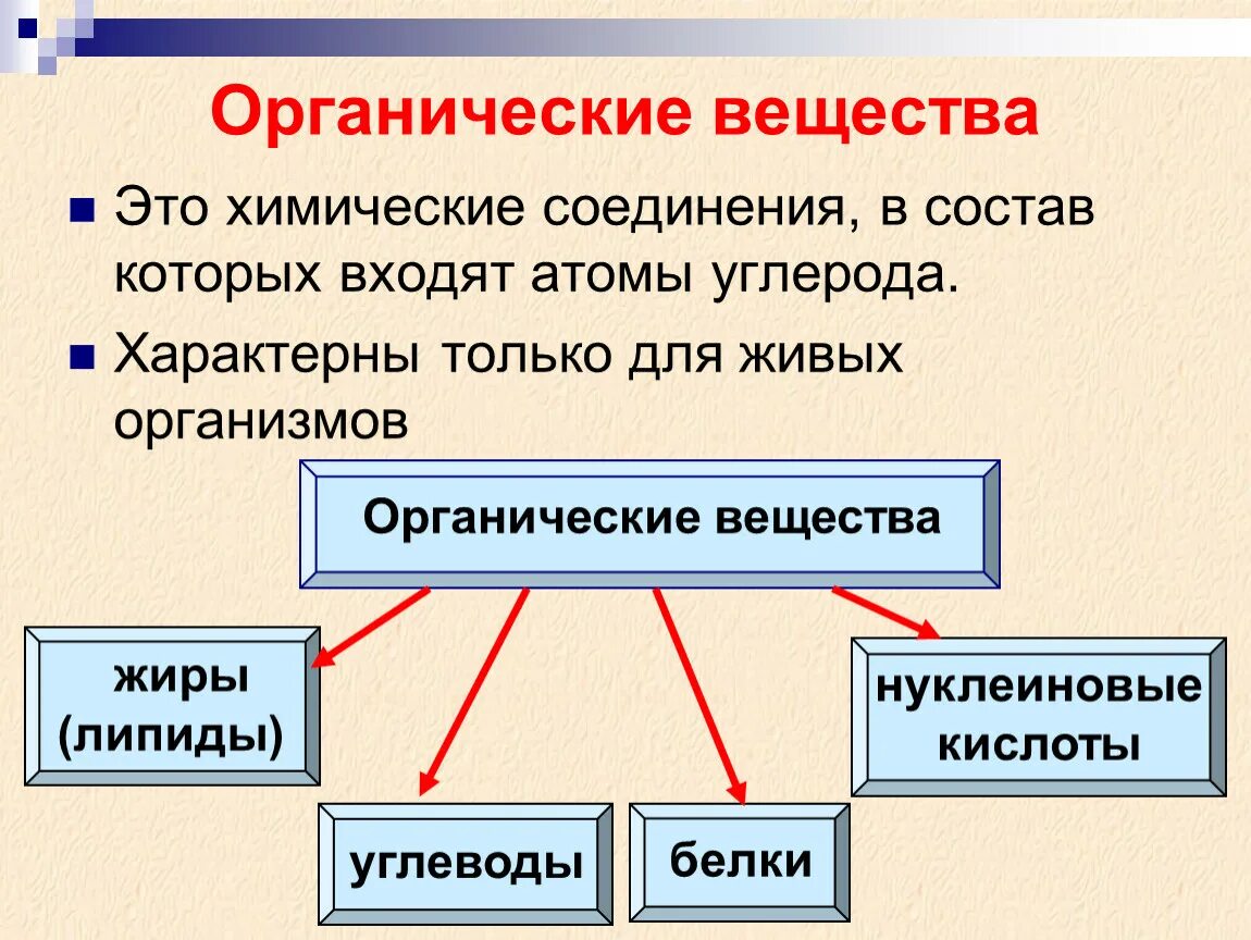 Органические вещества обеспечивают живой организм