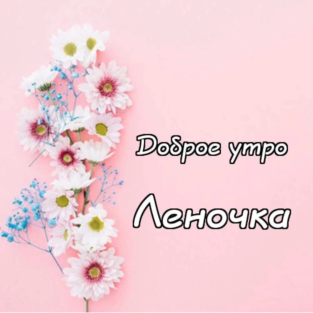 Красивая картинка доброе утро леночка. Доброе утро леночка. доброе утро хеленочька. с добрым утром еленочка. открытки с добрым утром леночка.