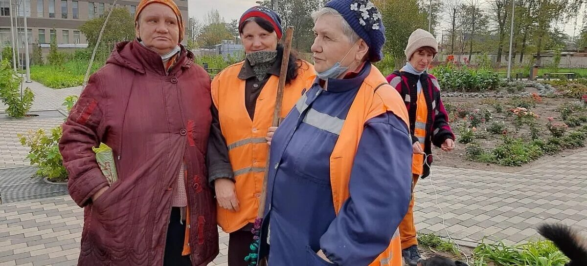 Сальск новости подслушано. Сальская администрация сотрудники фото. Цирина администрация Сальск. Сальск директор чистый город. Сальск новости.