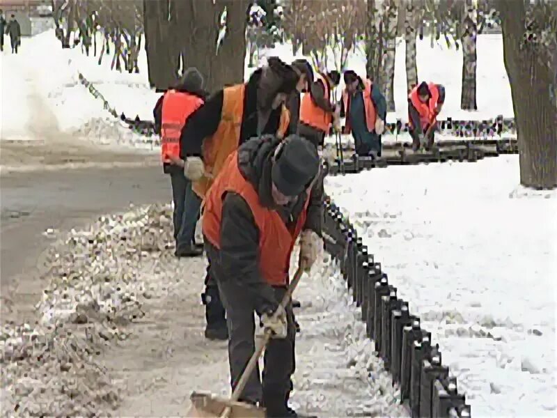 Временные и общественные работы. Общественные работы ярославль. Общественные работы ярославль. Общественные работы ярославль. Оплачиваемые общественные работы.