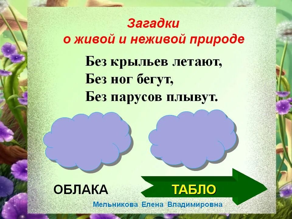 Загадки о явлениях природы. Загадки о неживой природе. Загадки о живой природе. Загадки о живой и неживой природе. Загадки про природные